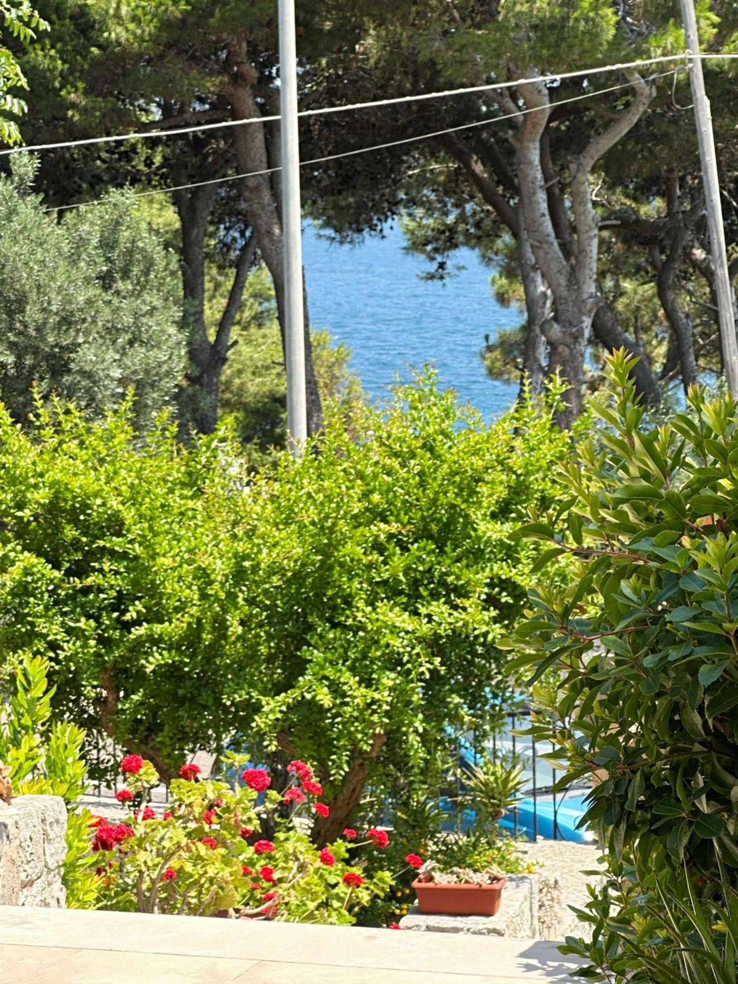 Villetta Dagre Fronte Mare Marittima Zewnętrze zdjęcie